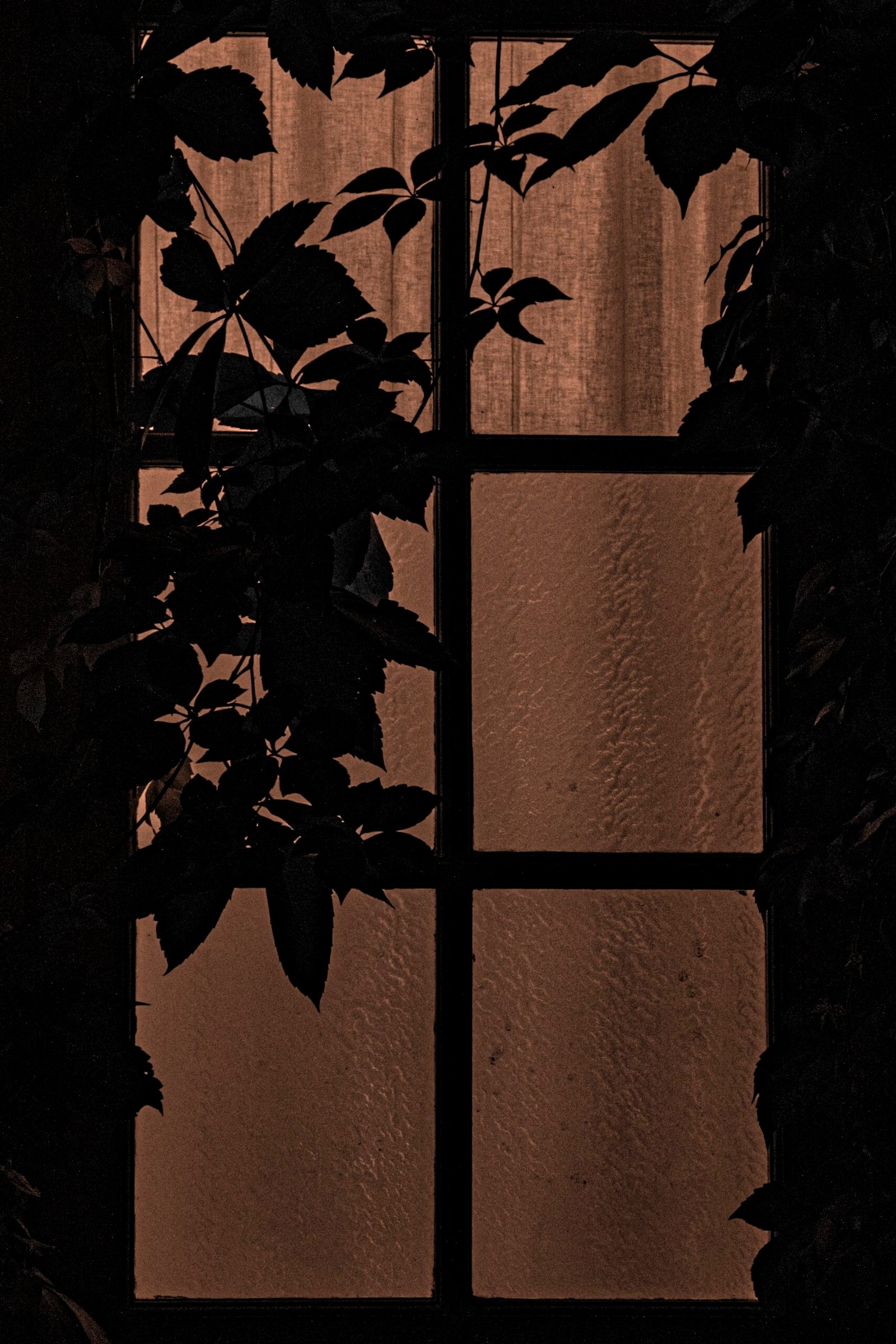 photographier de l'intérieur-15