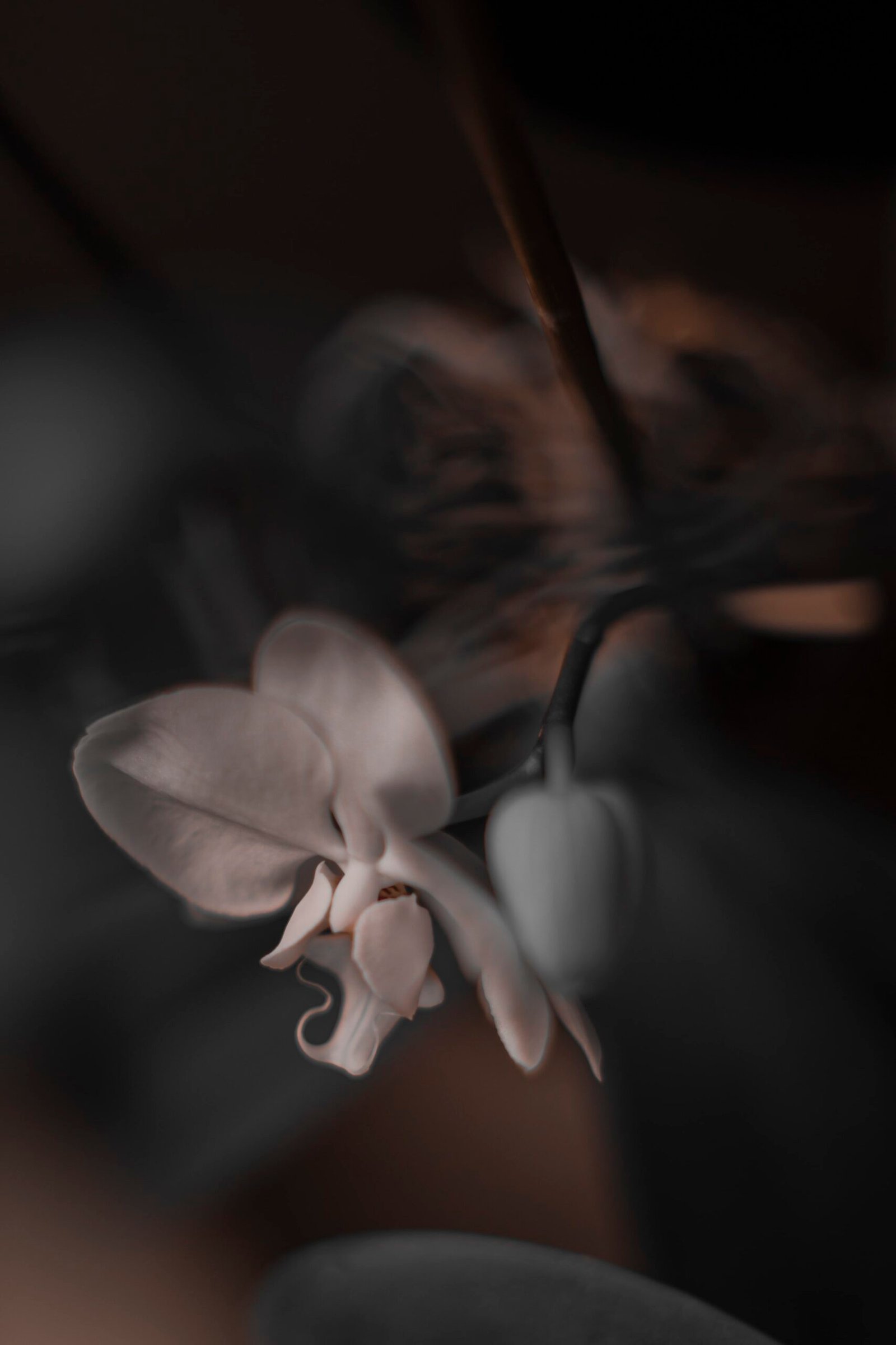 photographier de l'intérieur-18